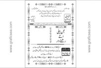 Saraiki Shadi Card CDR Vector Design Free Download