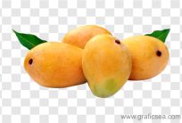 Sweet Mangoes