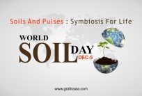 World Soil Day Vector design Free