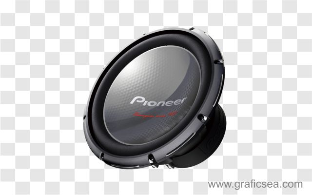 Pioneer Buffer Speaker