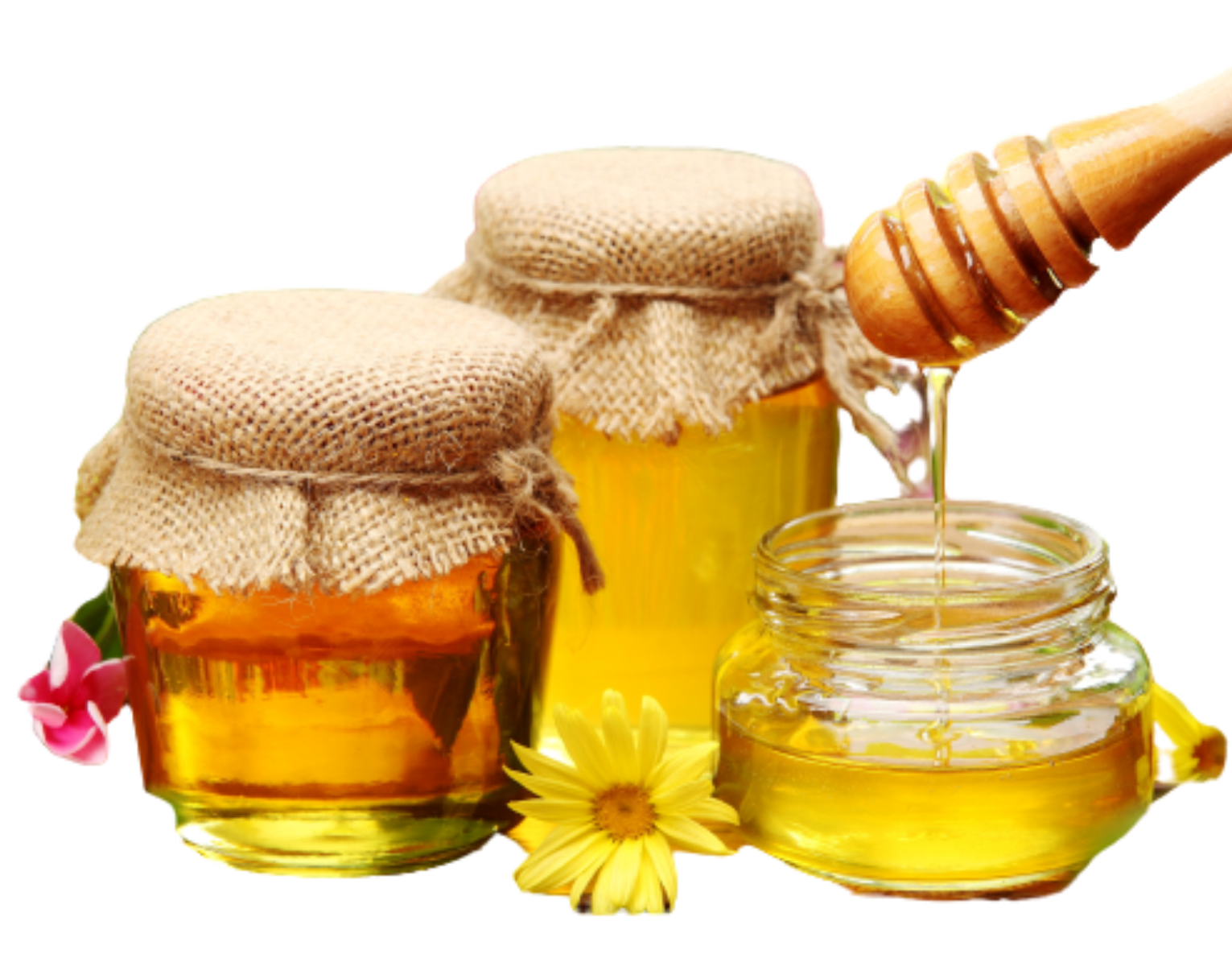 Pure Honey Jar With Flower Png Image Free | Graficsea