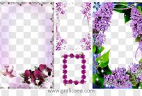4 Flower Photo Frames Stock Images Png Type Pack Free