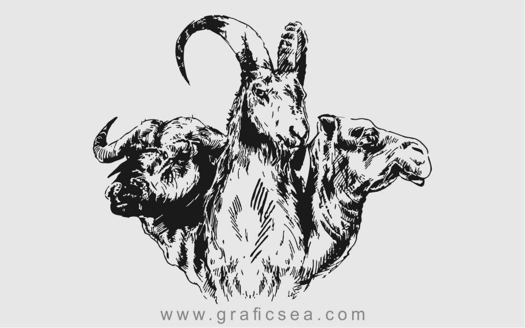 Qurbani Animals Cow, Sheep, Bakra, Camel Logo Clipart Image Free | graficsea Qurbani Animals Cow, Sheep, Bakra, Camel Logo Clipart
