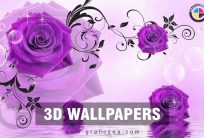 Bed Room Home Wall Decoration 3D Images