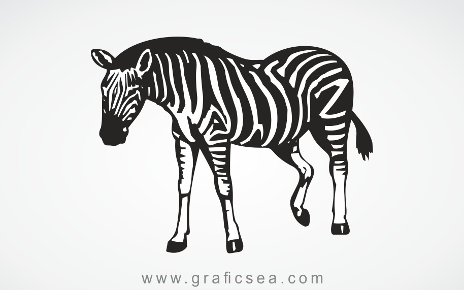 Zebra silhouette Stock vector Image