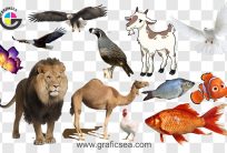 Flying Birds and Wild Animal Png Pack