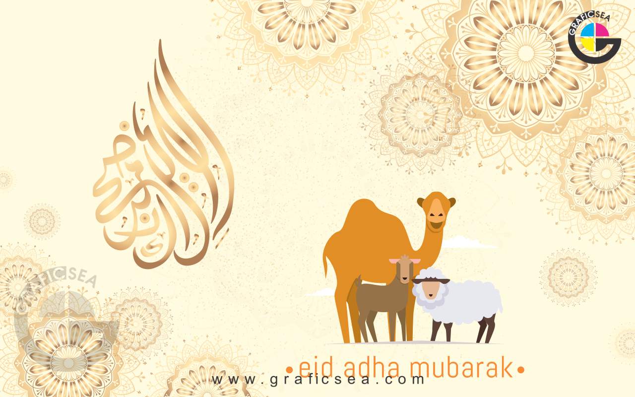 Eid Al Adha Mandala Style wish Card CDR Vector