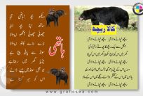 Students Urdu Poems School Charts CDR