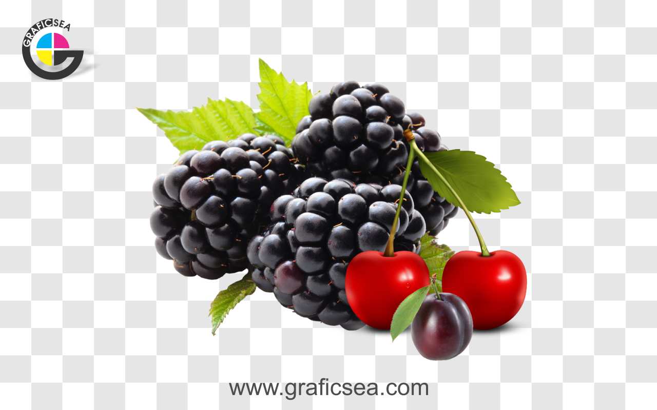 Red and Black Berries PNG Image
