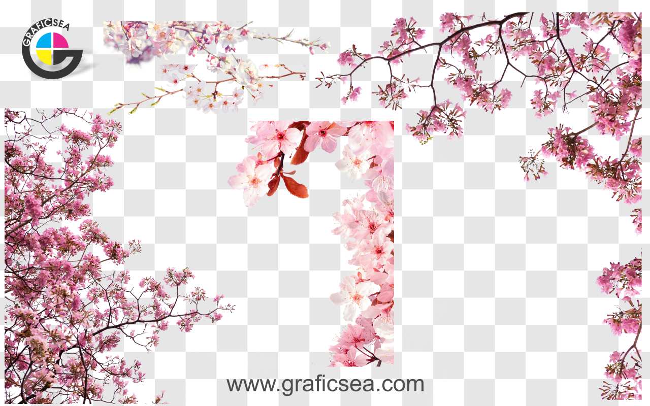 5 Pink Flower Trees Branches PNG Image