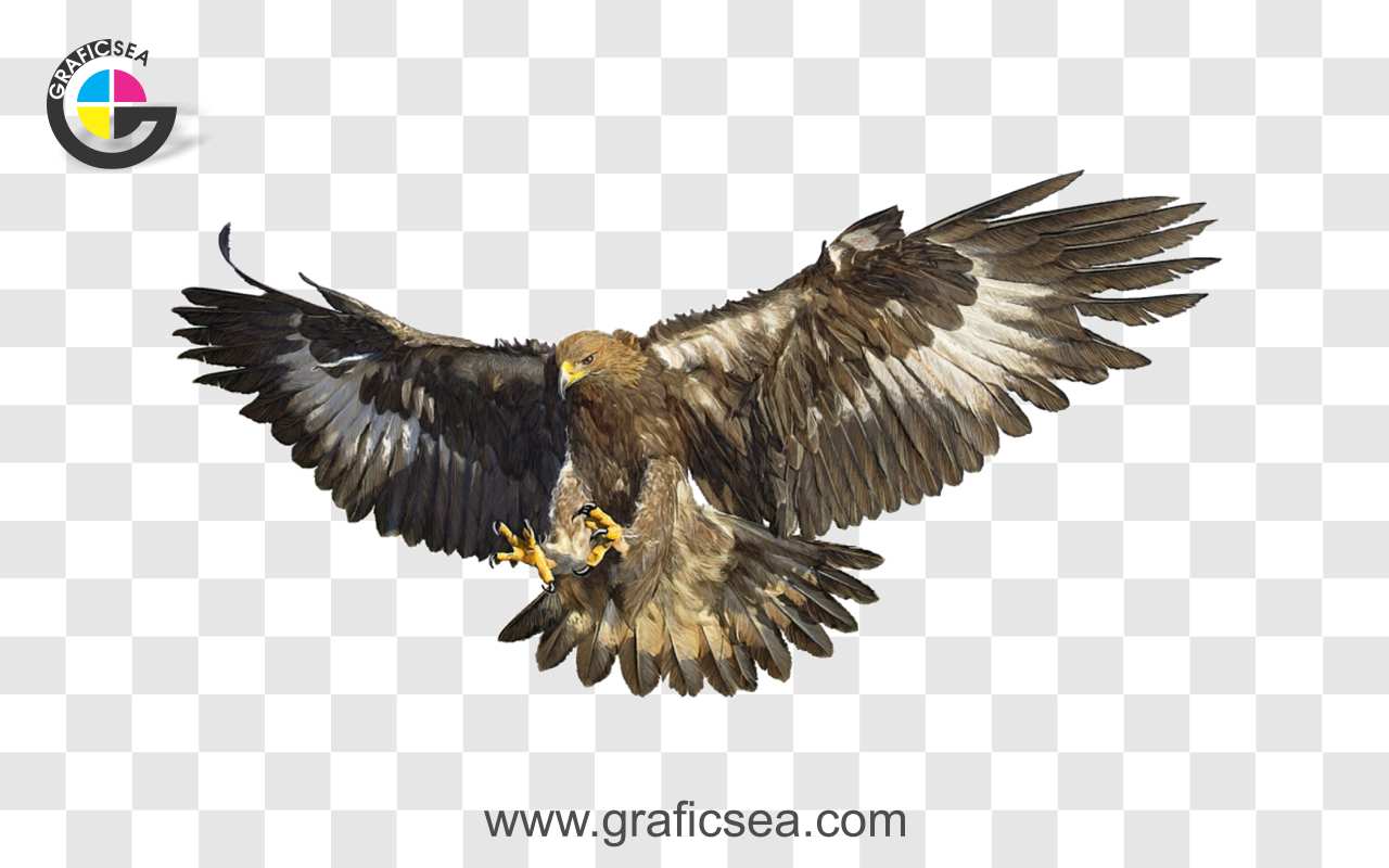 Golden Eagle Bird PNG Image