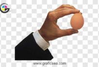 Egg in Hand PNG Image