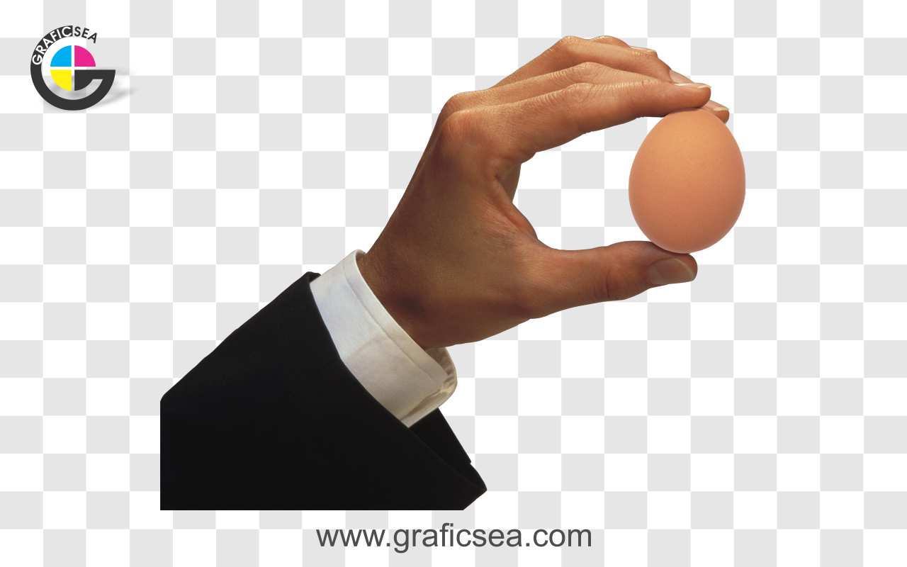Egg in Hand PNG Image
