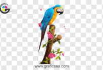 Macaw Parrot set at Tree Brench PNG Image