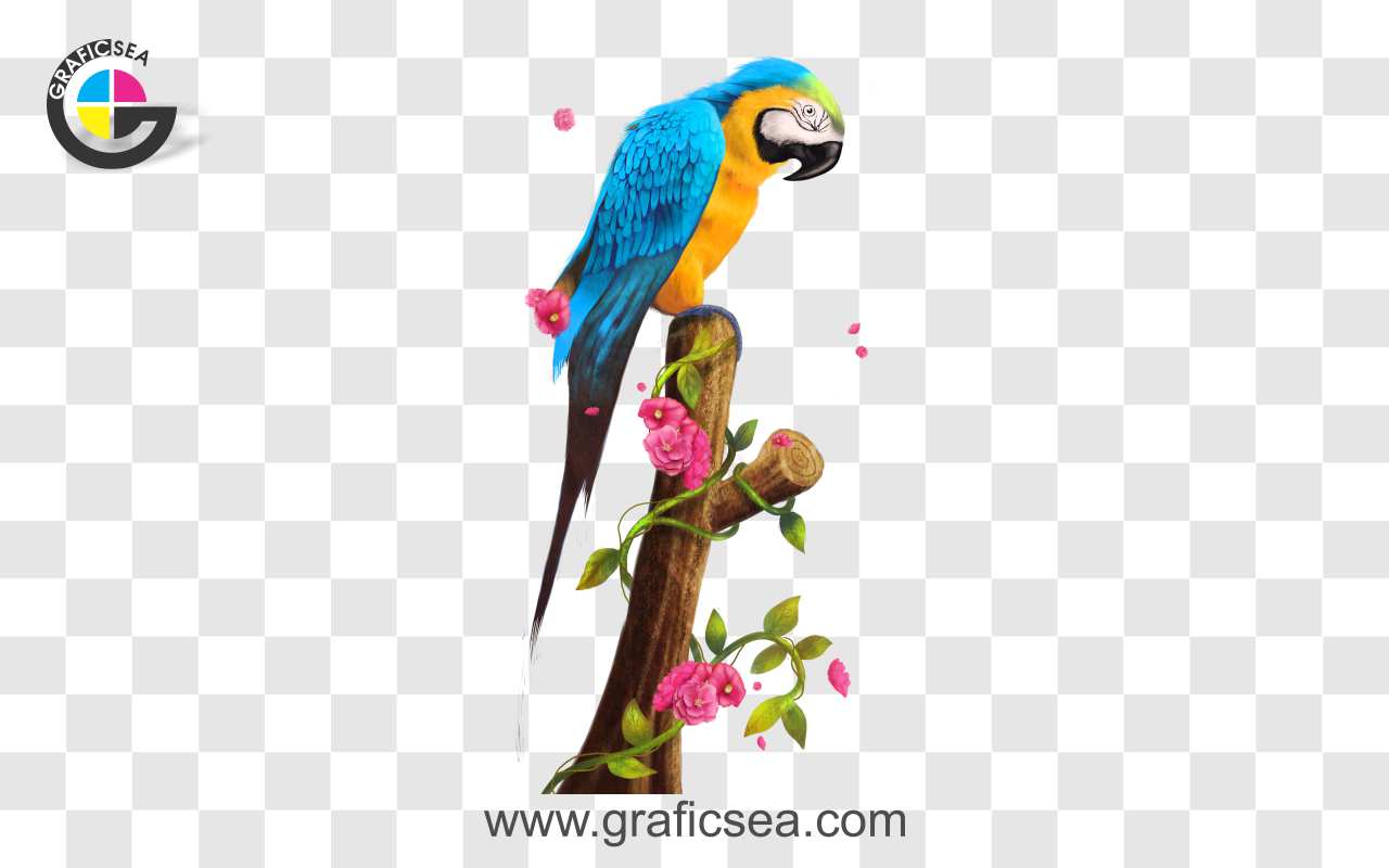 Macaw Parrot set at Tree Brench PNG Image