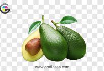 Fresh Avocado Fruit PNG Image
