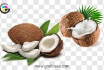 Fresh Coconut Pieces PNG Images