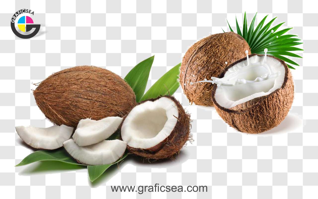 Fresh Coconut Pieces PNG Images