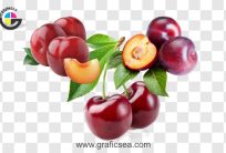 Fresh Prune Plum Fruit PNG Images