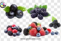 Fresh Red and Black Berries PNG Images