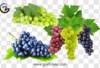 Black Red and Green Grapes PNG Images