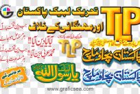 TLP Election Poster Headings TItle PNG Images