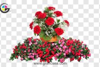 Red Rose Love Flower Bouquet PNG Images