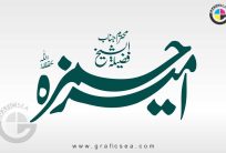 Fazilatul Sheikh Ameer Hamza Name Calligraphy