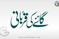 Cow, Gai ki Qurbani Poster Title Calligraphy