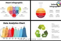 Data Analytics Heart Science Infographics CDR Template