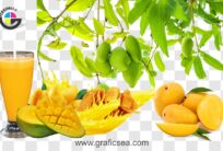 Fresh Mango Juice King Summer Friut Tree PNG Images